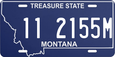 MT license plate 112155M