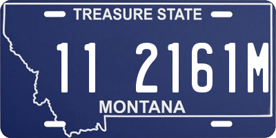 MT license plate 112161M