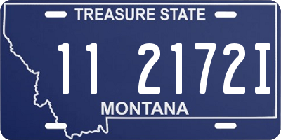 MT license plate 112172I