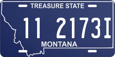 MT license plate 112173I