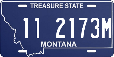 MT license plate 112173M