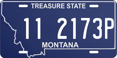 MT license plate 112173P