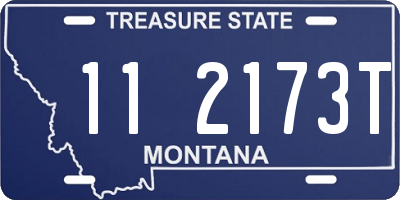MT license plate 112173T