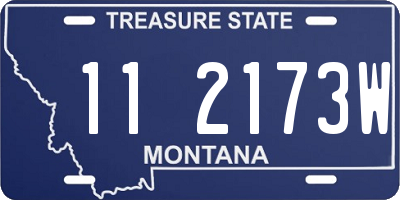 MT license plate 112173W