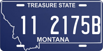 MT license plate 112175B