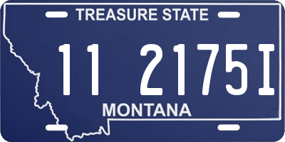 MT license plate 112175I