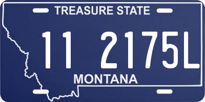 MT license plate 112175L