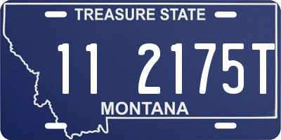 MT license plate 112175T