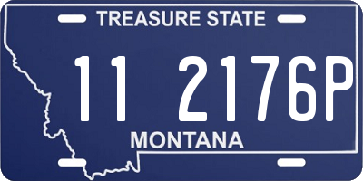MT license plate 112176P