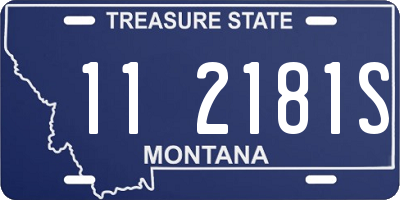 MT license plate 112181S