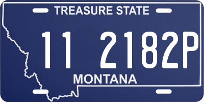 MT license plate 112182P