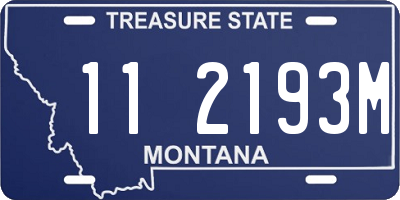 MT license plate 112193M