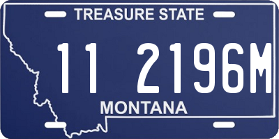 MT license plate 112196M