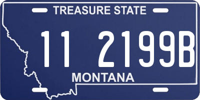 MT license plate 112199B