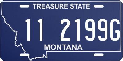 MT license plate 112199G