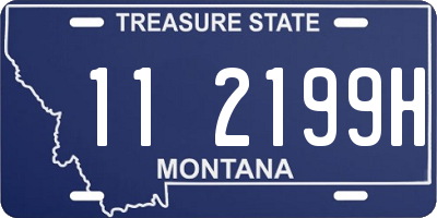 MT license plate 112199H