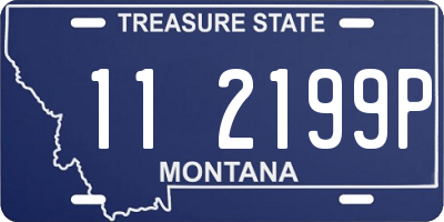 MT license plate 112199P