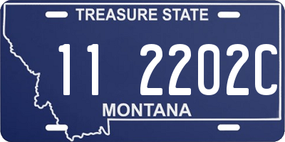 MT license plate 112202C