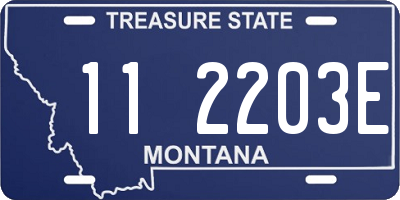 MT license plate 112203E