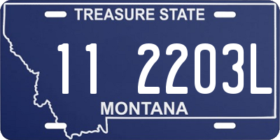 MT license plate 112203L