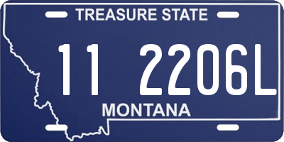 MT license plate 112206L