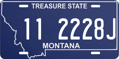 MT license plate 112228J