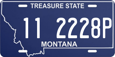 MT license plate 112228P