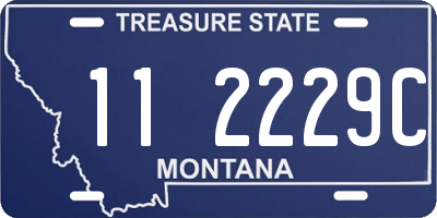 MT license plate 112229C