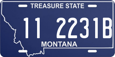 MT license plate 112231B