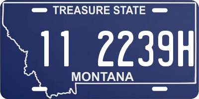 MT license plate 112239H