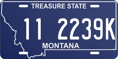 MT license plate 112239K