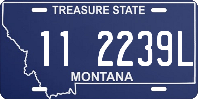 MT license plate 112239L