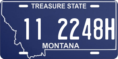 MT license plate 112248H