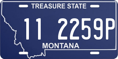 MT license plate 112259P