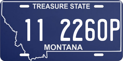 MT license plate 112260P