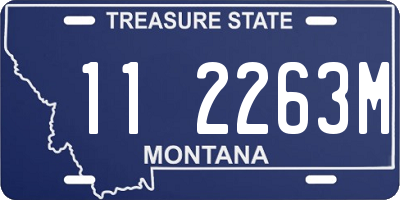 MT license plate 112263M
