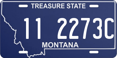 MT license plate 112273C