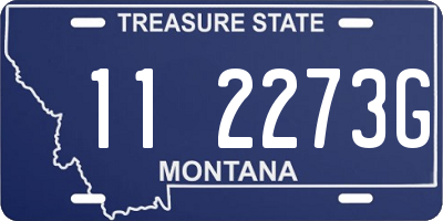 MT license plate 112273G