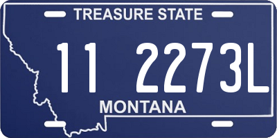 MT license plate 112273L