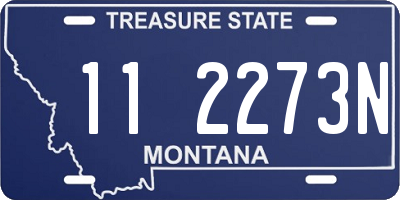MT license plate 112273N