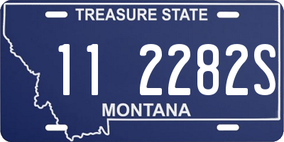MT license plate 112282S