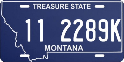 MT license plate 112289K