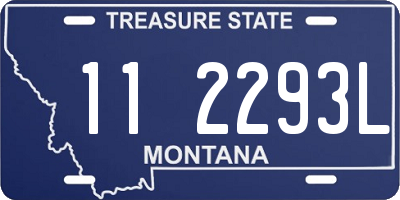 MT license plate 112293L