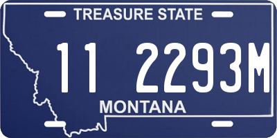 MT license plate 112293M