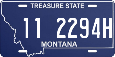 MT license plate 112294H