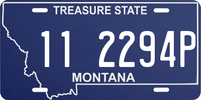 MT license plate 112294P