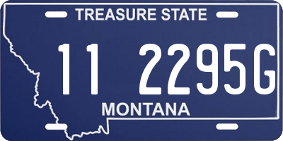 MT license plate 112295G