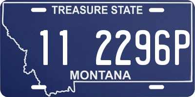 MT license plate 112296P