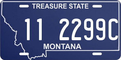 MT license plate 112299C