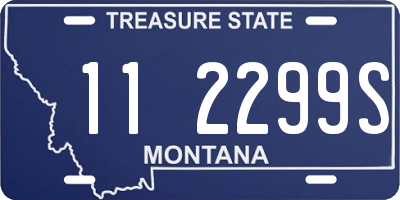 MT license plate 112299S